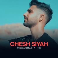 Mohammad Amiri Chesh Siah
