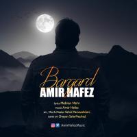 Amir Hafez Bargard