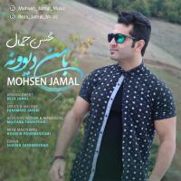 Mohsen Jamal Ba Mane Divoone