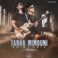 Amin & Omid Tanha Mimouni