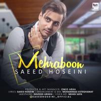 Saeed Hoseini Mehraboon