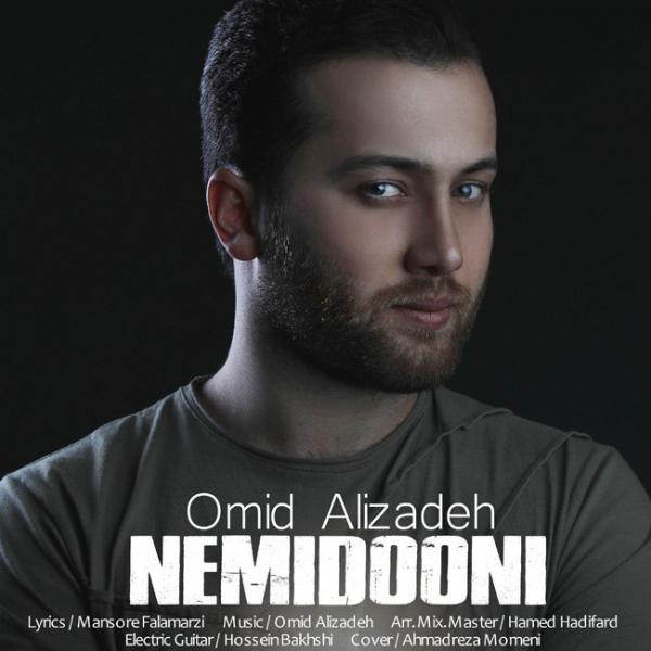 Omid Alizadeh Nemidooni