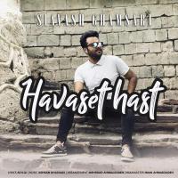 Siavash Ghamsari Havaset Hast