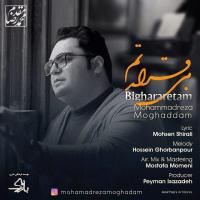 Mohammadreza Moghaddam Bighararetam