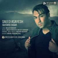 Saeed Asayesh Guitar O Sigar