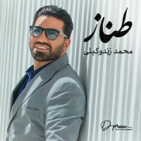 Mohammad Zande Vakili Tannaz