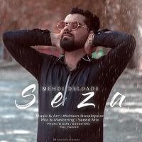 Mehdi Deldade Seza