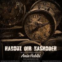 Amin Habibi Hanooz Dir Nashodeh