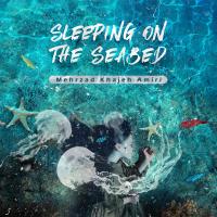 Mehrzad Khajeh Amiri Sleeping On The Seabed