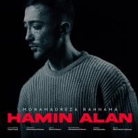 Mohamadreza Rahnama Hamin Alan