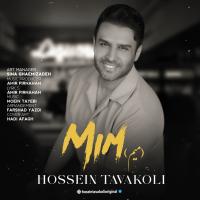 Hossein Tavakoli Mim