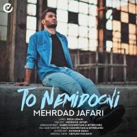 Mehrdad Jafari To Nemidooni