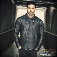Navid Mirzaie Ye Roozi Miyad