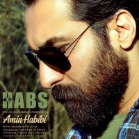 Amin Habibi Habs