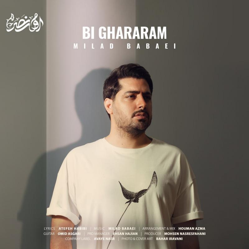 Milad Babaei Bighararam (Remix)