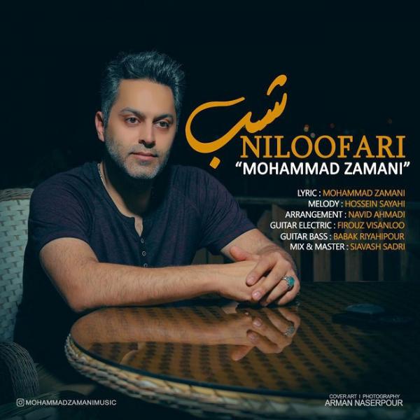 Mohammad Zamani Shabe Niloofari