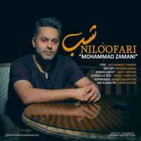 Mohammad Zamani Shabe Niloofari