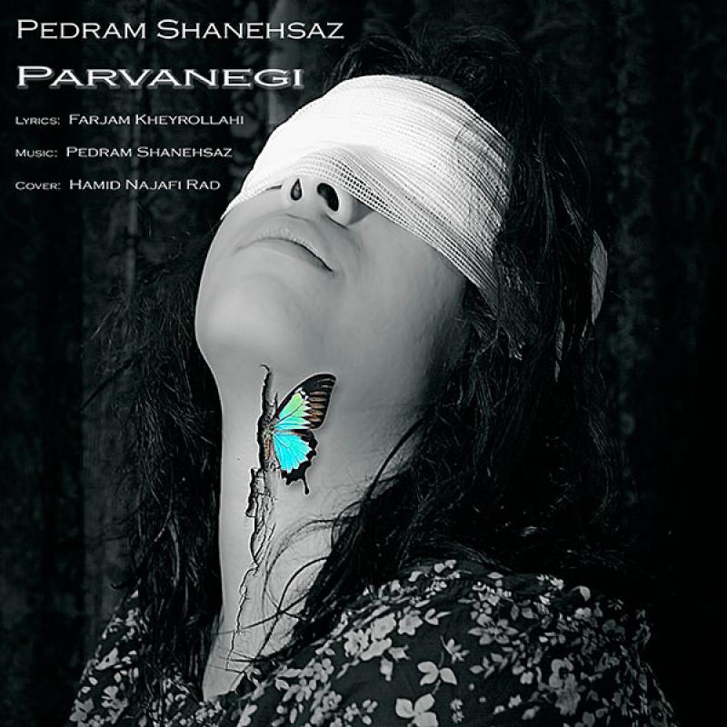 Pedram Shanehsaz Parvanegi