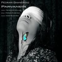 Pedram Shanehsaz Parvanegi