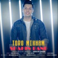 Shahin Band Toro Mikham