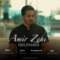 Amir Zehi Deldadeh