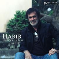 Habib Dokhtare Baba