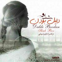 Shab Boo Dalile Boodan
