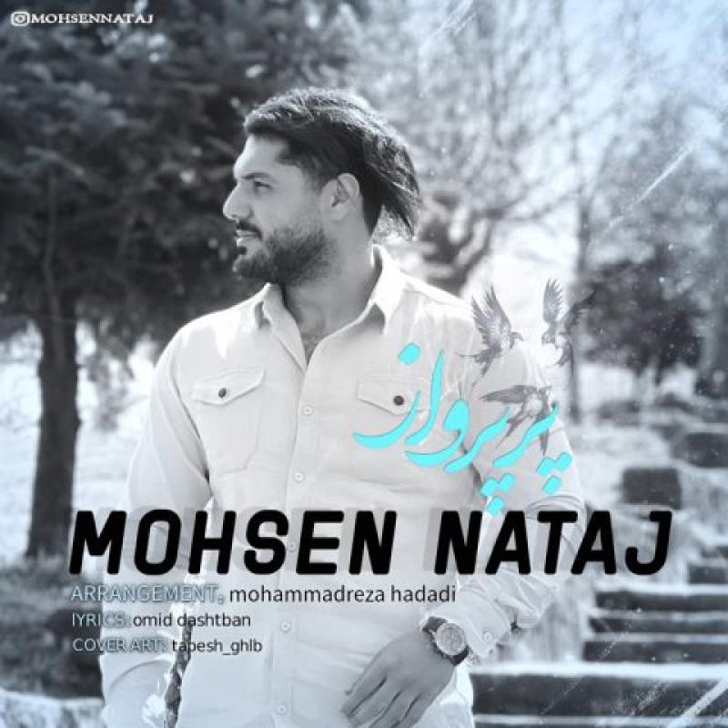 Mohsen Nataj Par Parvaz