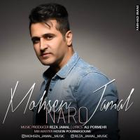 Mohsen Jamal Naro