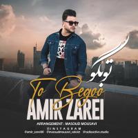 Amir Zarei To Begoo
