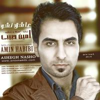 Amin Habibi Ashegh Nasho