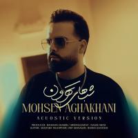 Mohsen Aghakhani Shabhaye Tehroon (Acoustic Version)
