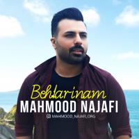 Mahmood Najafi Behtarinam