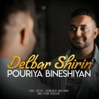 Pouriya Bineshiyan Delbar Shirin