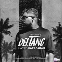 Hamed Baradaran Deltang (New Version)