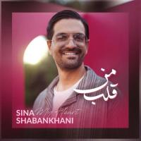 Sina Shabankhani Ghalbe Man