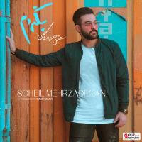 Soheil Mehrzadegan Begardam