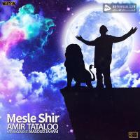 Amir Tataloo Mesle Shir