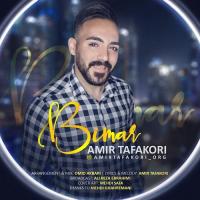 Amir Tafakori Bimar