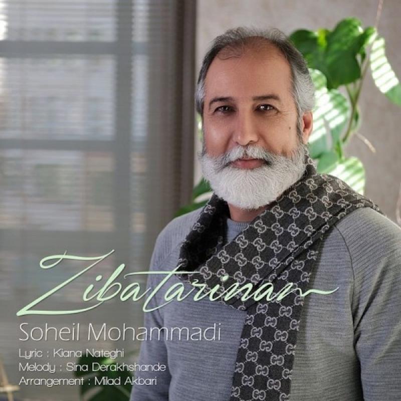 Soheil Mohammadi Zibatarinam