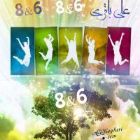 Ali Bagheri 8&6