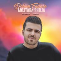 Mojtaba Shoja Delam Fadate