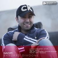 Nadim Bargard Divoone