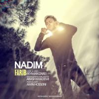 Nadim Farib