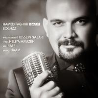 Hamed Faghihi Boghz