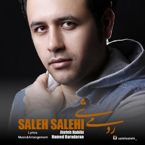 Saleh Salehi Rad Mishi