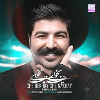 Behnam Bani Che Bekhay Che Nakhay