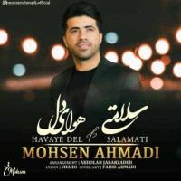 Mohsen Ahmadi Mix Salamati O Havaye Del