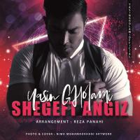 Yasin Gholami Shegeft Angiz