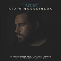 Aidin Hosseinloo Naro